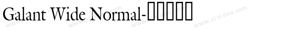 Galant Wide Normal字体转换